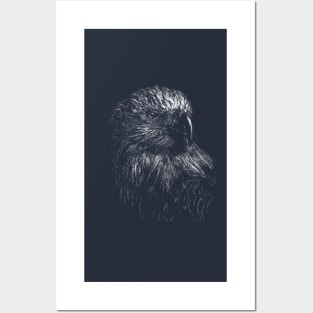 Eagle   |   Hand Drawn Illustration Posters and Art